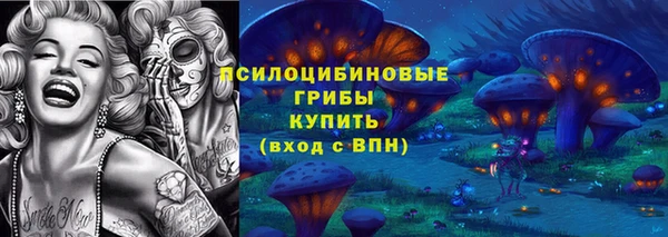 мдпв Куйбышев