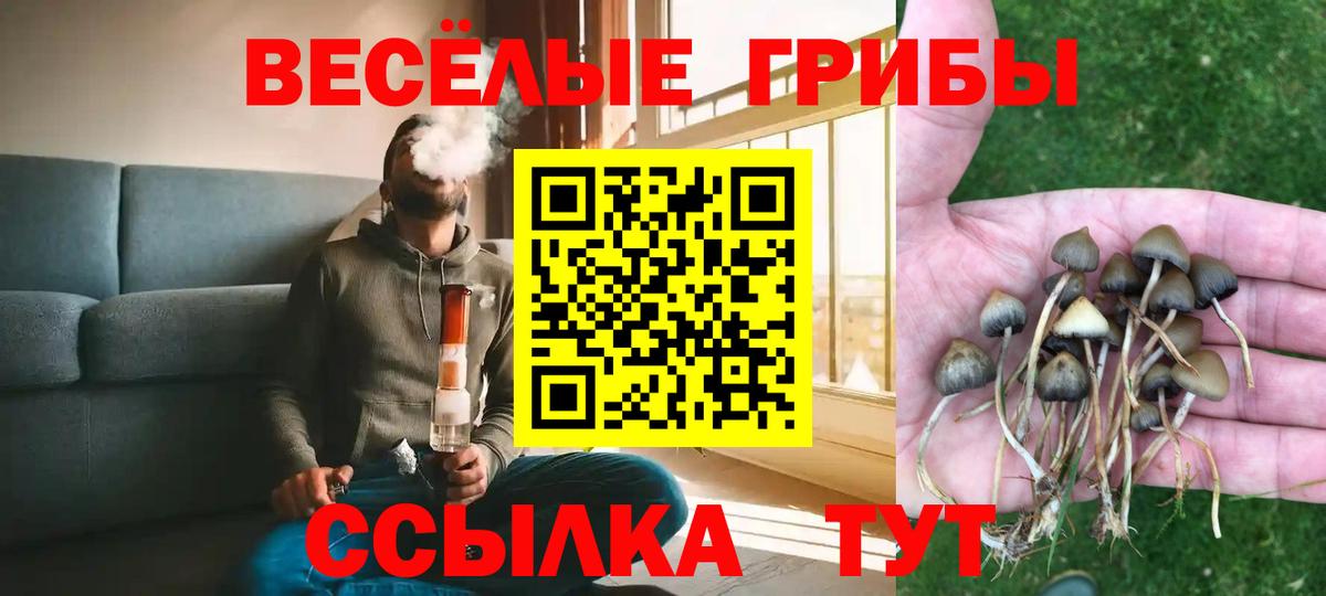 Псилоцибиновые грибы мухоморы Мончегорск
