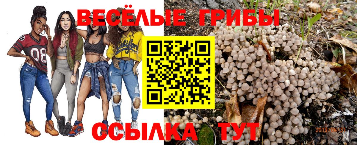Псилоцибиновые грибы Cubensis  Вход с VPN  Мончегорск 